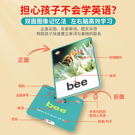 兔呗乐我的第一套英语启蒙卡32类单词卡支持牛书童爱学星小蝌蚪小达人点读笔点读 商品图6