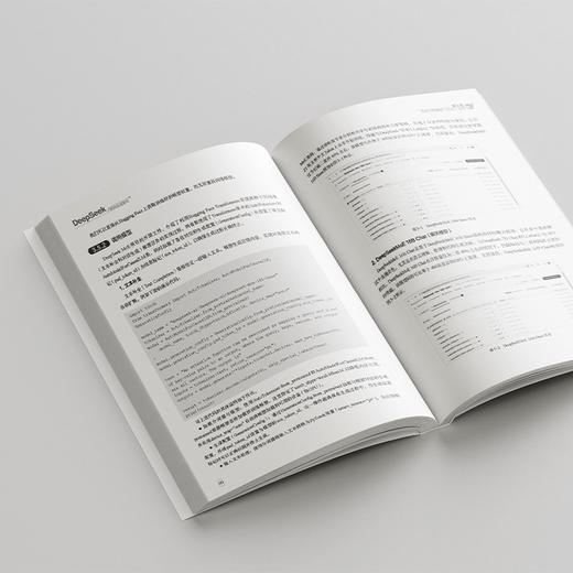 DeepSeek源码深度解析 薛栋 黄捷 著 北京大学出版社 商品图4