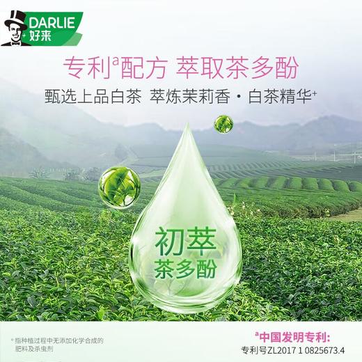 好来茶倍健茉莉白茶１９０ｇ/支 商品图1