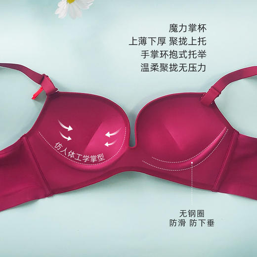 【秒杀品不退不换】皇家丽美一片式无痕内衣无钢圈内衣小胸聚拢防下垂文胸WW1679-3-B红色 商品图2