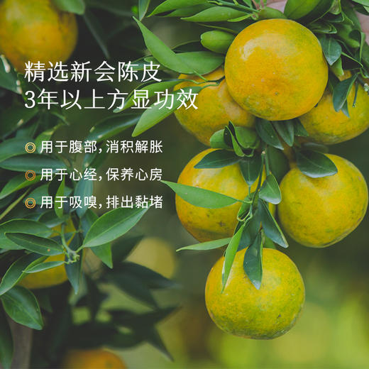 枕草子新会陈皮精油 醇厚陈香 顺脾通气 商品图2
