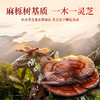 雷允上破壁灵芝孢子粉胶囊42g（350mg*30粒/瓶*4瓶）/盒 商品缩略图5