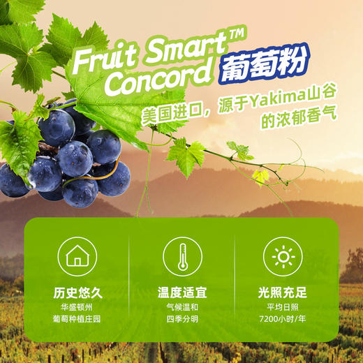 赛必健®荷叶生姜饮品 商品图1