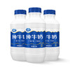 夏进纯牛奶500ml×12瓶 商品缩略图2