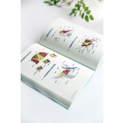 神经外科医生的手绘开颅术图谱 商品图6