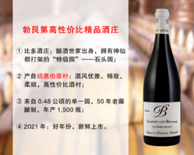 【现货促销，配额有限】勃艮第超高性价比精品名庄：比多酒庄绍黑伯恩索西单一园干红（2021年）