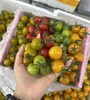 一口爆汁4色小番茄 约1.8斤/箱   |水果 商品缩略图0