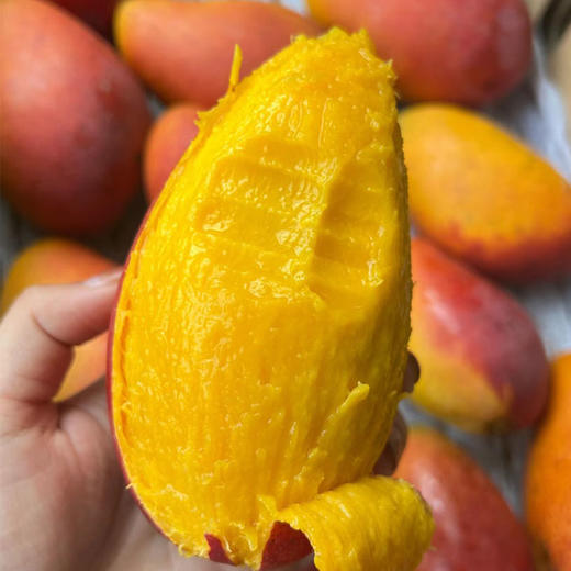 金凤凰芒果（3斤） 商品图2