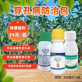 桃树穿孔治疗包