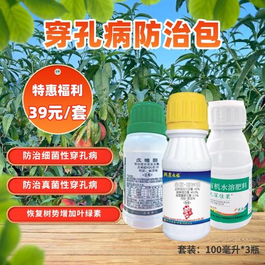 桃树穿孔治疗包 商品图0