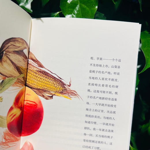 在八岳南麓，直到最后 上野千鹤子 山居随笔集 女性主义独居者如何构建自己的小宇宙 商品图9