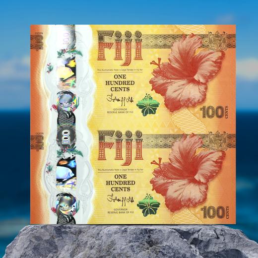 【吉祥号88888开头】2024斐济龙年塑料纪念钞！全新100分！ 商品图3