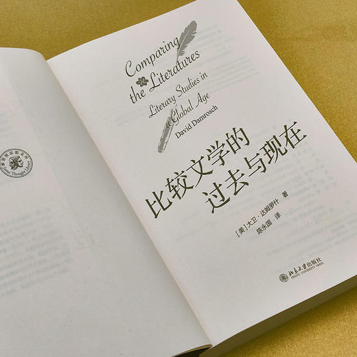 比较文学的过去与现在 （美）大卫·达姆罗什 著  陈永国 译 北京大学出版社 商品图1