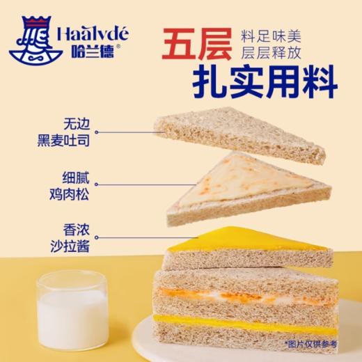 哈兰德  黑麦肉松无蔗糖三明治面包 65g/袋 商品图2