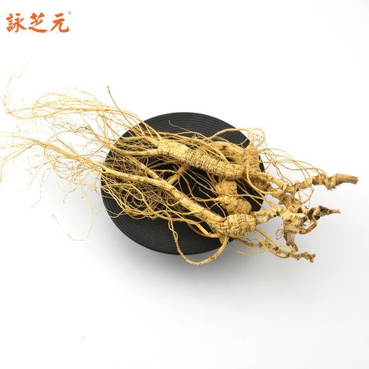 【咏芝元】小籽货小籽参林下籽野山参 10克/盒 15-18年以上参龄 性价比高 商品图1