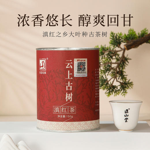元正 滇红云上古树 红茶特级云南凤庆大叶种茶叶罐装150g 商品图1
