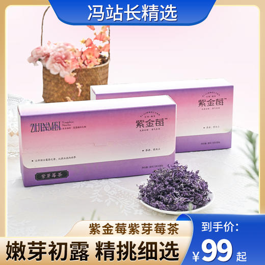 紫金莓紫芽莓茶 湘西永顺非遗 [2025 头采紫芽莓] 千斤莓茶才出1斤紫金莓 花青素黄酮含量高 商品图0