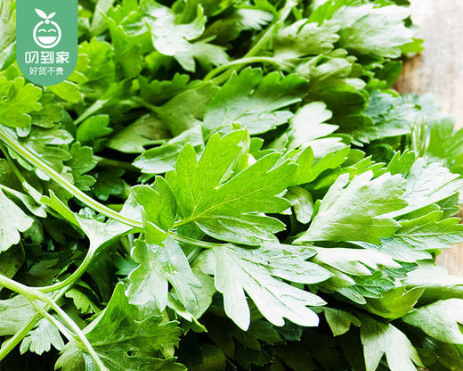 【叼鲜蔬】云南有机新鲜香菜/1份（约50g） 商品图2
