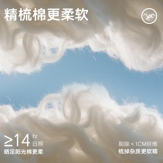 gxg.jeans  男士棉质条纹短袜三双装舒适运动袜薄款 25年夏热卖 商品图4