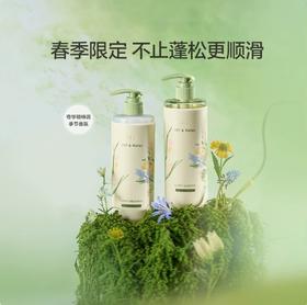 OR清爽蓬松洗发水+护发素-春日香氛限定-460ml（效期18个月以上）