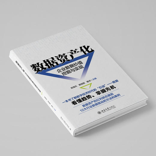 数据资产化：企业数据价值挖掘与实现 郑清元 郭培明 杨洋 主编 北京大学出版社 商品图2