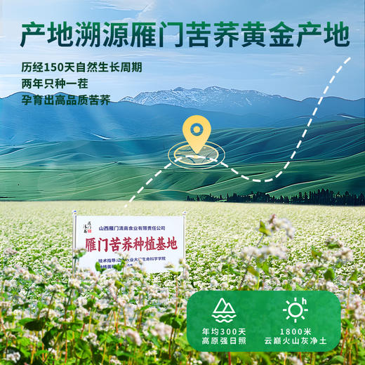 雁门清高黑苦荞茶330g 荞麦茶花草茶山西特产 商品图3