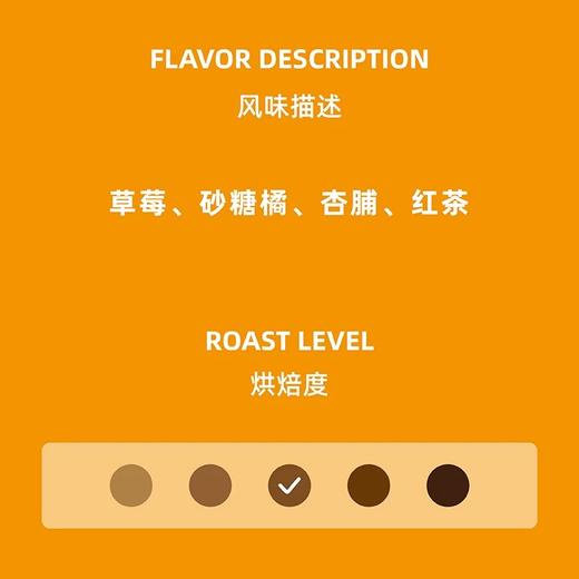 阿果拉店用咖啡soe花魁8.0 商品图1