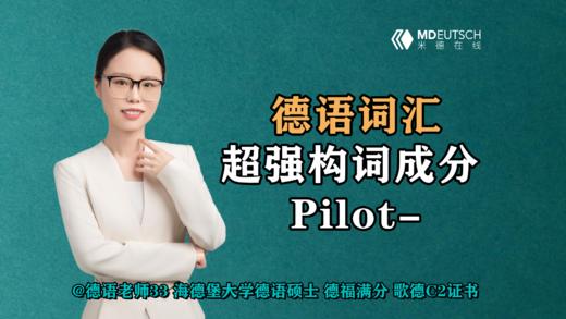 【德语词汇】超强构词成分 Pilot- 商品图0