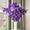 【紫霞仙子】剑兰 - 紫色系  5枝 | 5.27公众号专享 商品缩略图0