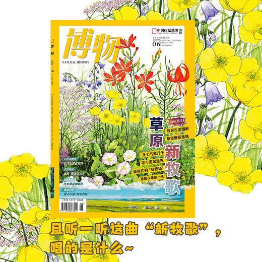 《博物》202506  草原新“牧歌” 商品图2