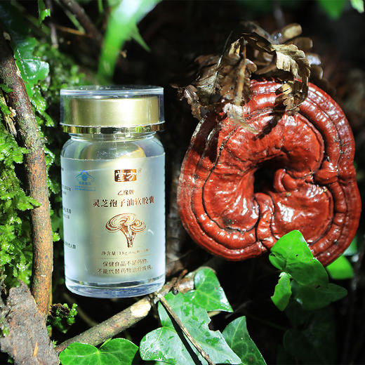 堂方 灵芝孢子油软胶囊礼盒 （30粒/瓶*3瓶）/盒 蓝帽认证 有助于增强免疫力 商品图1