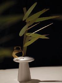 手心花道-竹子 商品图0