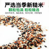璞匠有机三色糙米粗粮糙米饭糙米黑米红米五谷杂粮组合三色健身 商品缩略图2