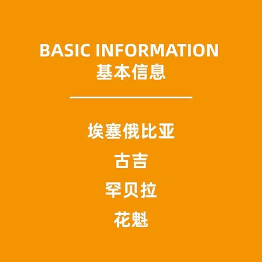 阿果拉店用咖啡soe花魁8.0 商品图2