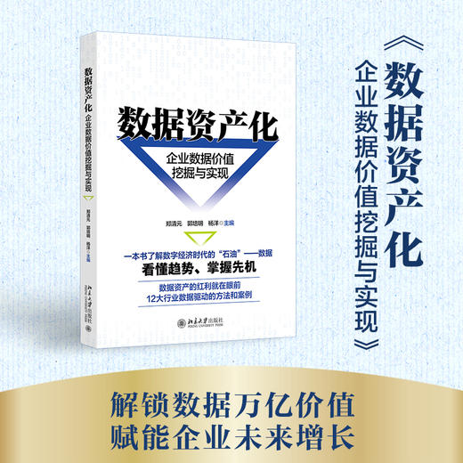 数据资产化：企业数据价值挖掘与实现 郑清元 郭培明 杨洋 主编 北京大学出版社 商品图1