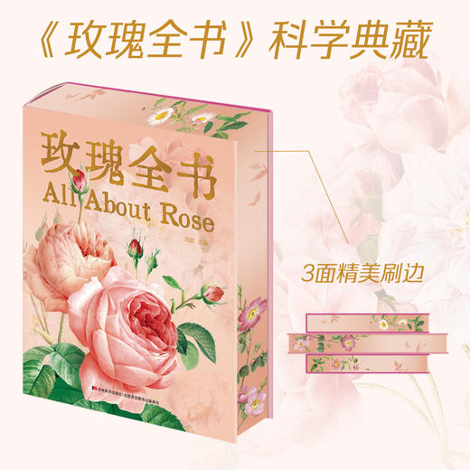 玫瑰全书 商品图3