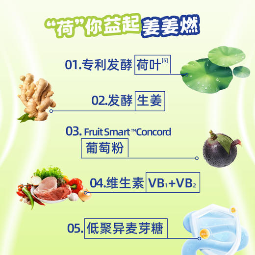 赛必健®荷叶生姜饮品 商品图2