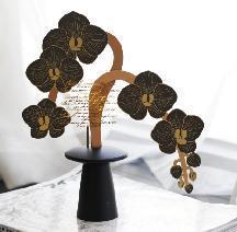 手心花道-蝴蝶兰 商品图0