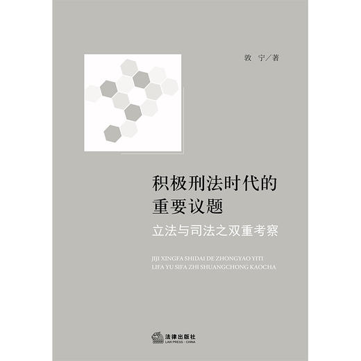 积极刑法时代的重要议题：立法与司法之双重考察 敦宁著 法律出版社 商品图1