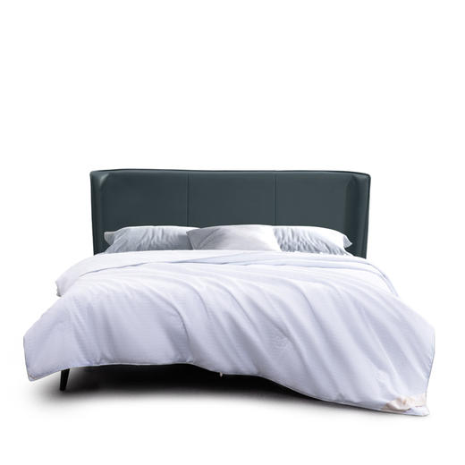 水星家纺 DH莘德拉蚕丝被 商品图0