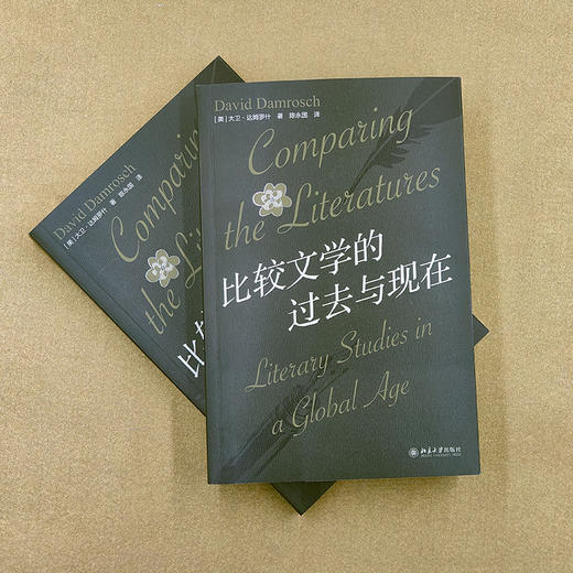 比较文学的过去与现在 （美）大卫·达姆罗什 著  陈永国 译 北京大学出版社 商品图2