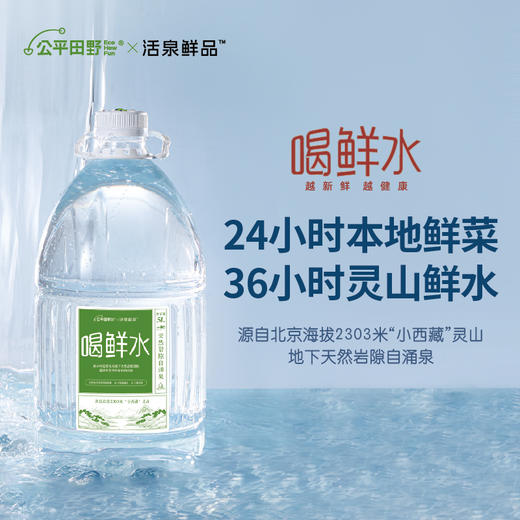 喝鲜水 北京灵山 天然自涌泉水 天然弱碱性水 36小时新鲜到家 *基地直发 商品图4