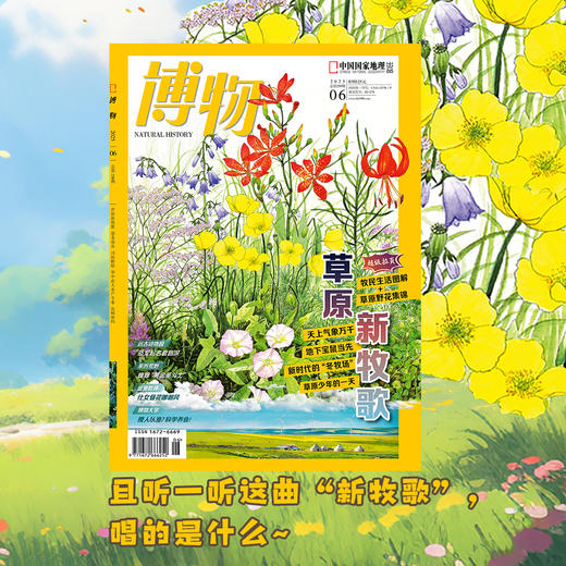 《博物》202506  草原新“牧歌” 商品图0