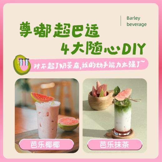 乡村说 红心芭乐汁 清爽解腻 低卡健康 果汁饮料 商品图6