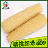 老街基东北黄糯玉米白糯玉米220g 商品缩略图4