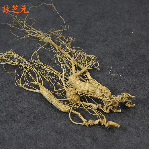 【咏芝元】小籽货小籽参林下籽野山参 10克/盒 15-18年以上参龄 性价比高 商品图5