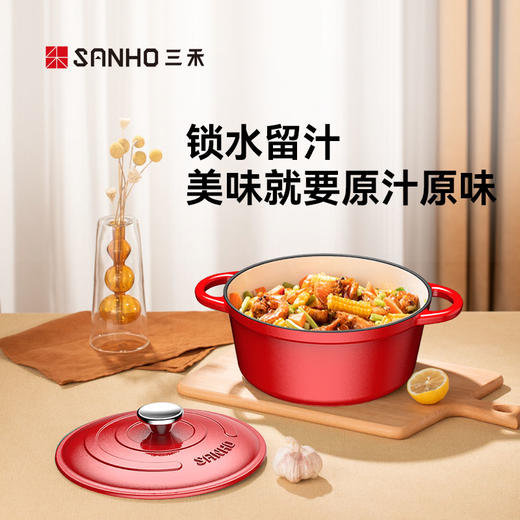 三禾铸铁珐琅锅ZT22A4 商品图4
