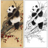 王申勇花鸟工笔画白描底稿《熊猫》临摹勾线高清打印稿A678 商品缩略图0