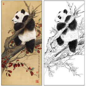 王申勇花鸟工笔画白描底稿《熊猫》临摹勾线高清打印稿A678