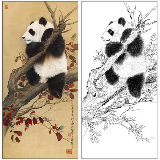 王申勇花鸟工笔画白描底稿《熊猫》临摹勾线高清打印稿A678 商品图0